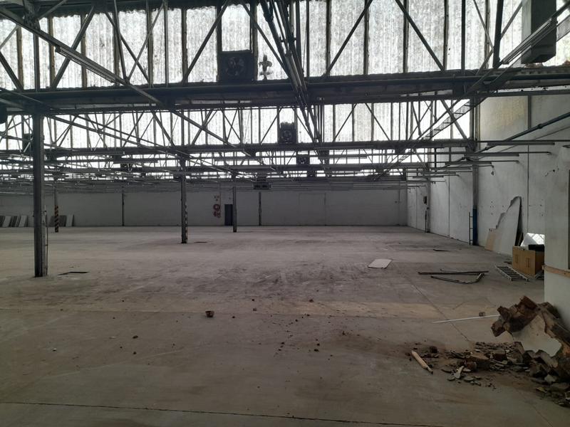 To Let Commercial Property for Rent in North End Eastern Cape